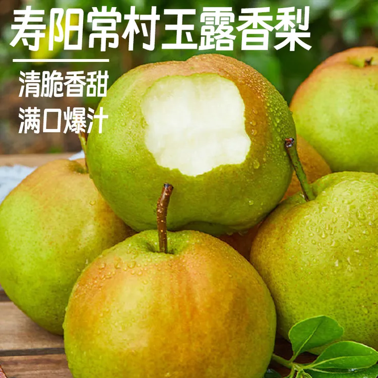 【玉露香梨】山西正宗玉露香梨寿阳常村正宗玉露香梨清脆香甜整箱装