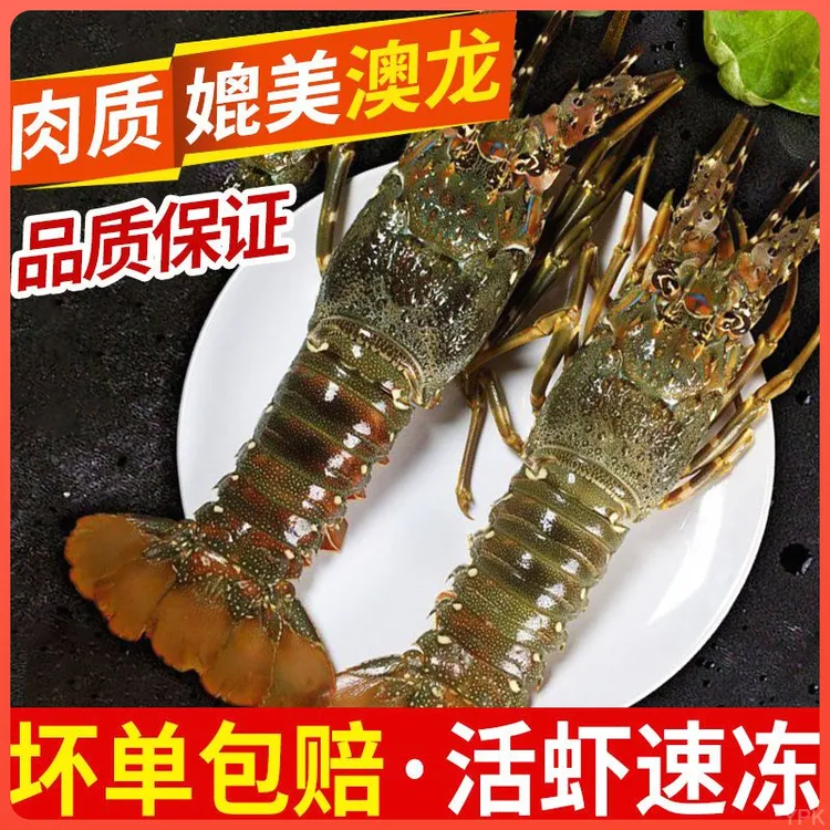 【三只装】东山岛活冻小青龙鲜活速冻海鲜大青龙鲜嫩海捕急冻大龙虾