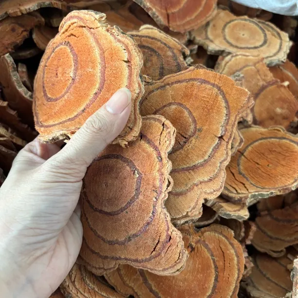 正宗鸡血藤精选广西鸡血藤煲汤泡茶煮鸡蛋炖猪脚红藤四物汤煮水