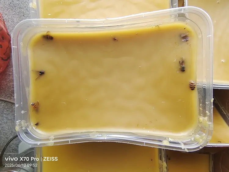 蜂蜡 加料中蜂土蜂蜡 非食用 很容易诱到蜂