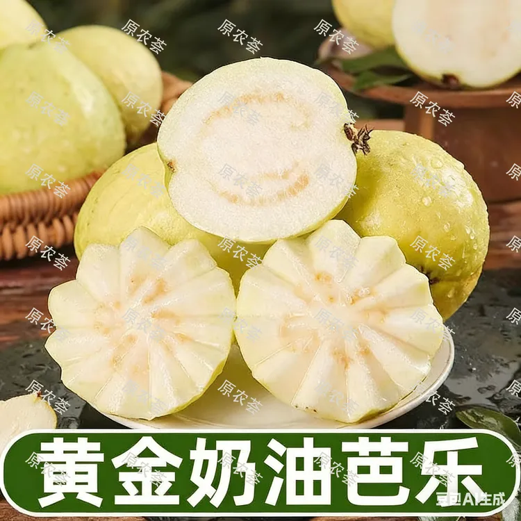 原农荟（软芭乐精装）南沙万顷沙软糯白心番石榴低糖（顺丰）