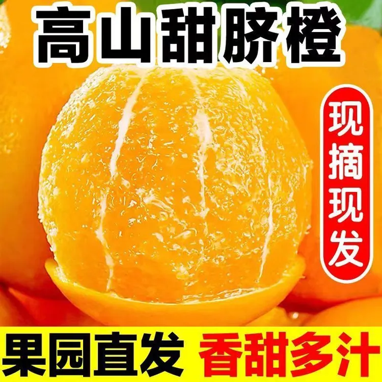 【当季现摘】湖北秭归纽荷尔脐橙冬橙甜橙孕妇新鲜水果