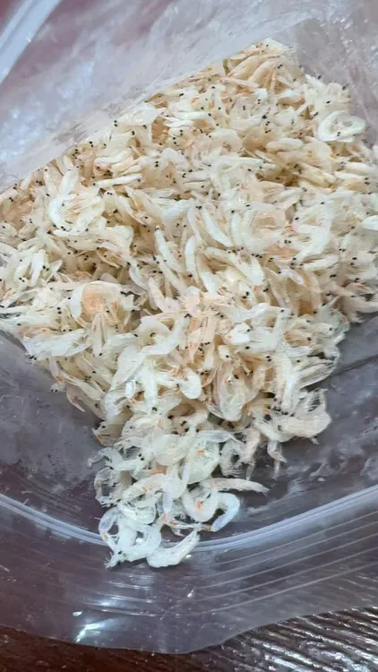 【爬爬姐推荐】农家手工虾米