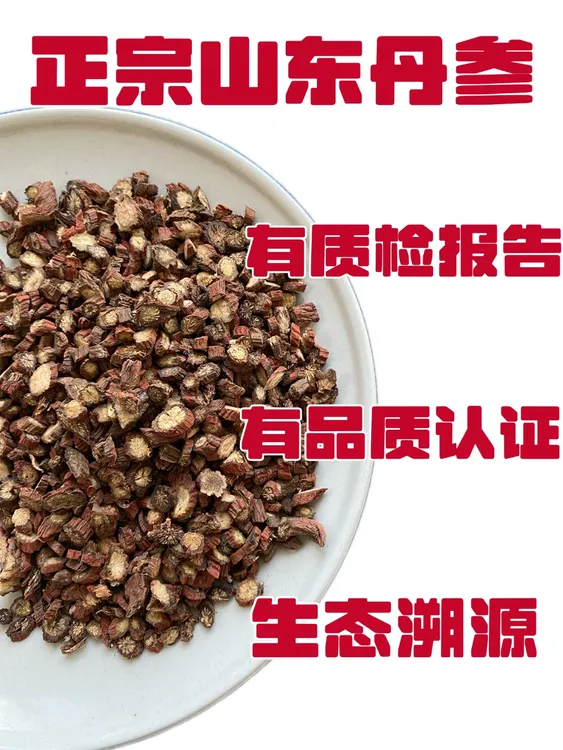 正宗道地山东丹参有无硫无公害生态溯源证书和含量质检报告