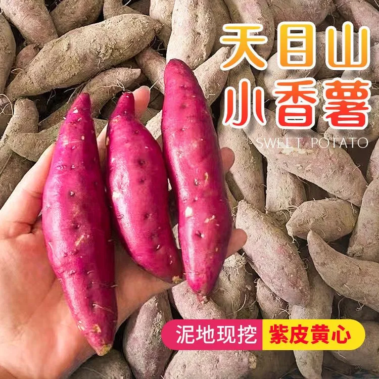 天目小香薯软糯香甜黄心沙地蜜薯新鲜正宗板栗味地瓜番薯代餐营养