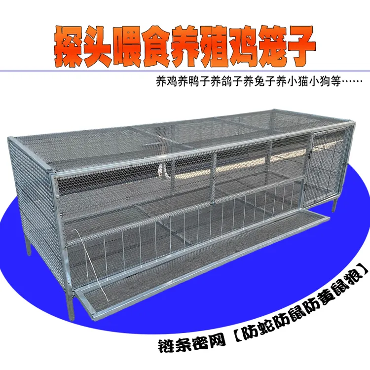 户外养殖鸡笼育雏笼加厚加密链条钢网片可防蛇鼠黄鼠狼镀锌方管