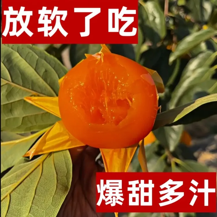富平高山大尖柿新鲜采摘产地直发放软吃甘甜暴汁偏远地区不包邮