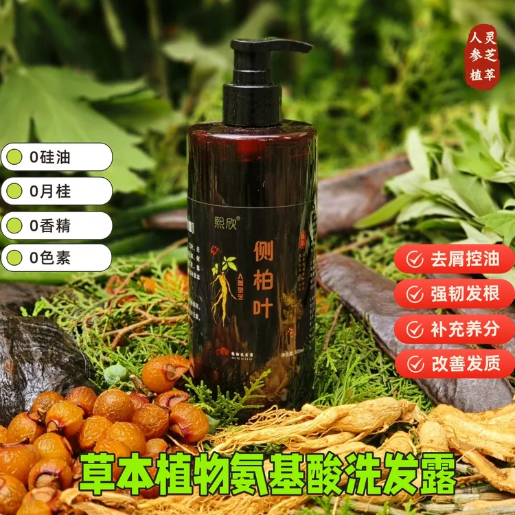 草本植物氨基酸洗发露侧柏叶人参皂荚洗发水控油去屑侧柏叶洗发液