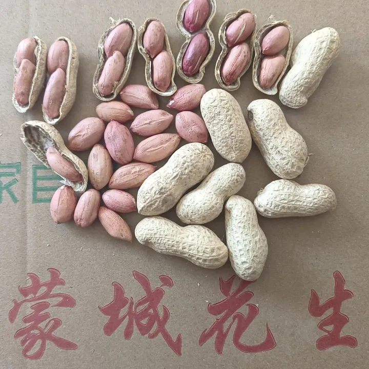 2024年新货农家晒干生花生红皮花生带壳大颗粒新鲜花生米