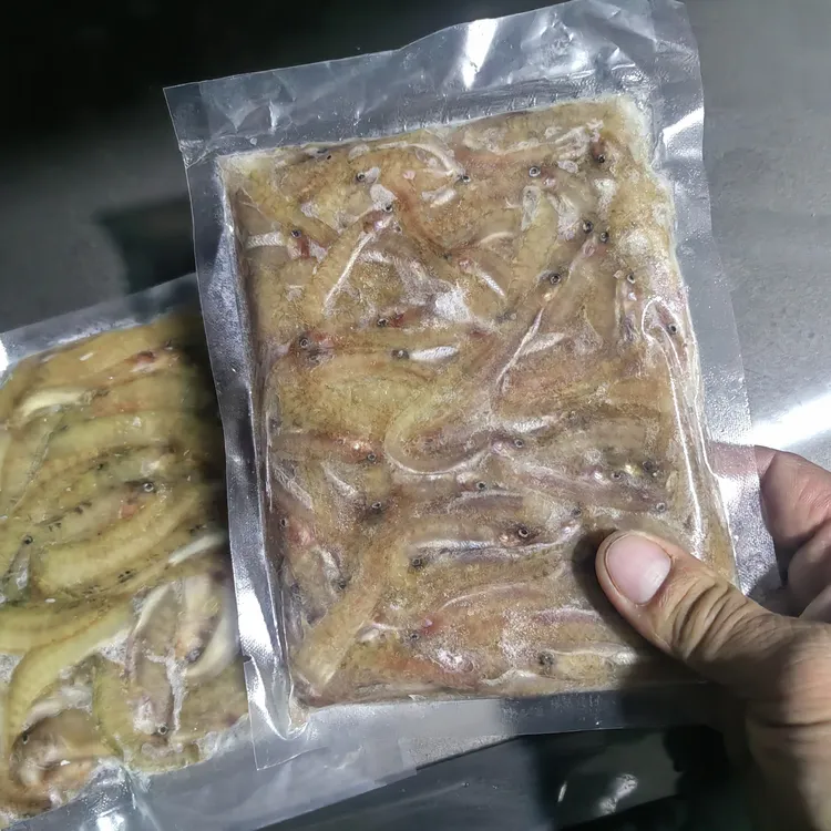 海钓高粱叶子鱼饵船钓黑头石斑佳饵味道大挺上头鱼也上头顺丰包邮