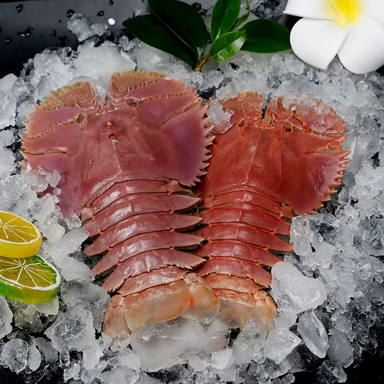 琵琶虾（包鲜不包活） 厦门发货  顺丰新鲜到家