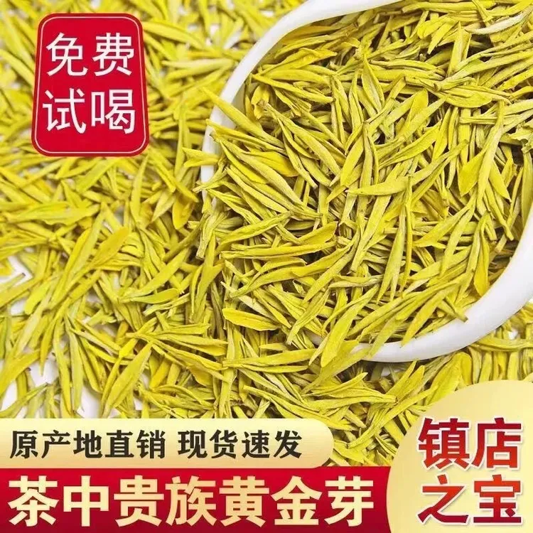 【2025年新茶精品口粮黄金芽】正宗高山黄金芽绿茶浓香耐泡茶叶春茶