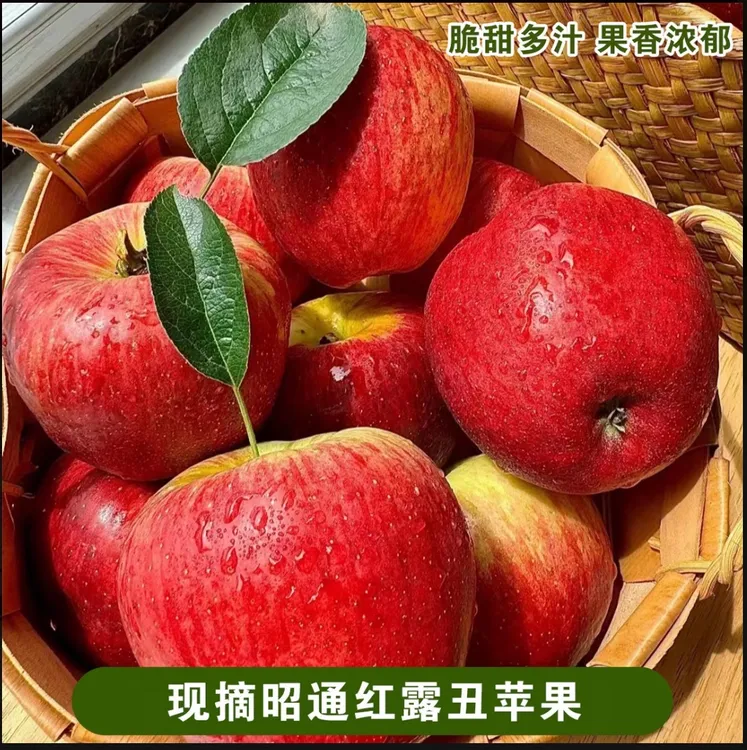 【当天采摘】云南昭通糖心丑苹果昭通苹果新鲜脆甜多汁水果当季热卖