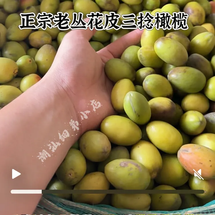 潮汕老树花皮三捻橄榄 酥甘香好食 新鲜现摘一斤起