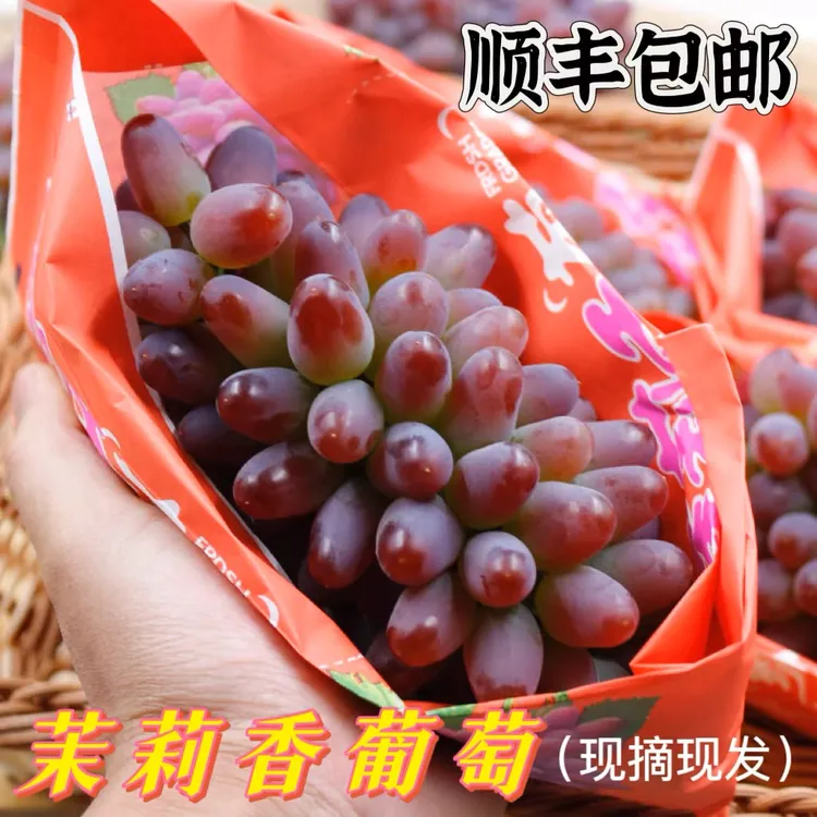 辽宁现摘茉莉香葡萄2斤应季新鲜水果孕妇玫瑰香无籽提子顺丰包邮