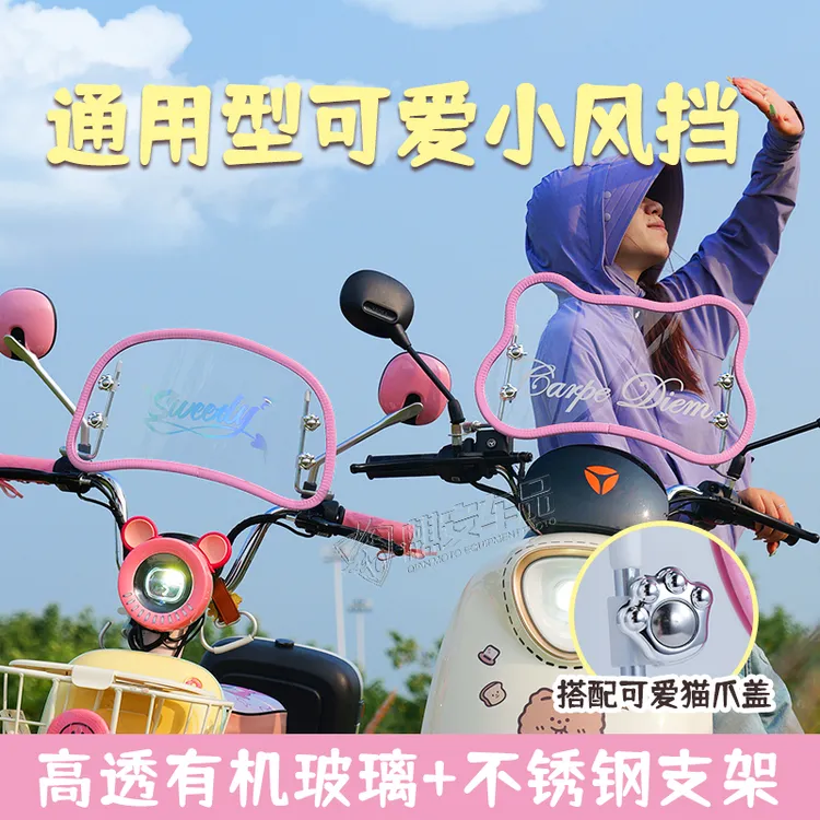 电动车前挡风板通用适用晴天小牛元宇宙可爱装饰复古挡雨板配件