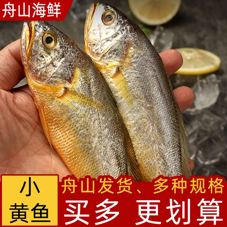 舟山特产小黄花鱼新鲜冷冻烧烤小黄鱼生鲜海鱼海鲜海鱼水产品商用