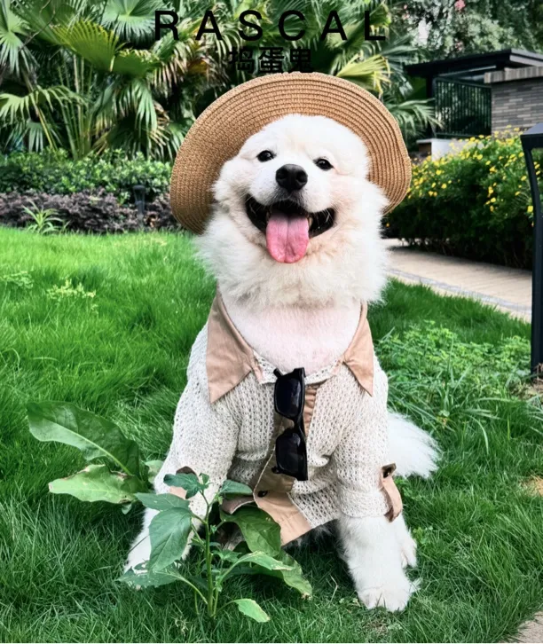 RASCAL捣蛋鬼.宠物猫狗复古老钱风衬衫适合中小型犬