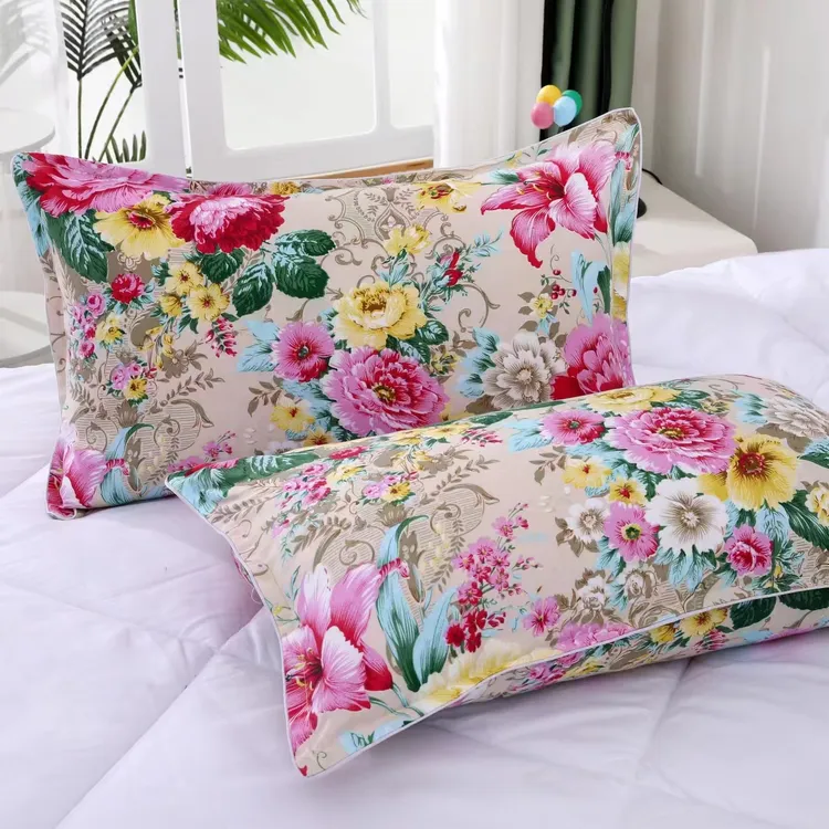 【主播联合厂家补贴】纯福利亲肤棉宿舍一对装大号枕套48*74