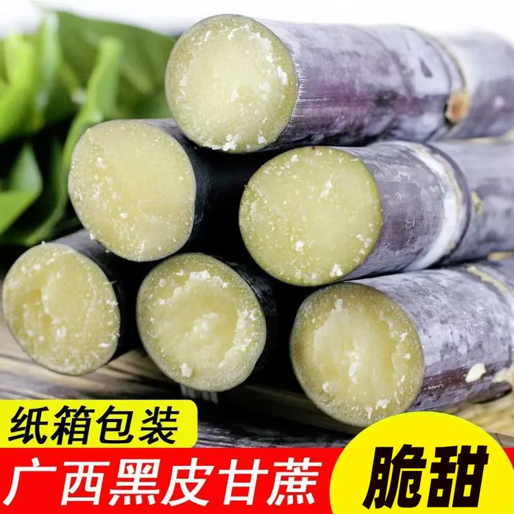 i广西黑皮甘蔗5斤9斤新鲜现砍现发脆甜多汁烤甘蔗煮水味甜好吃