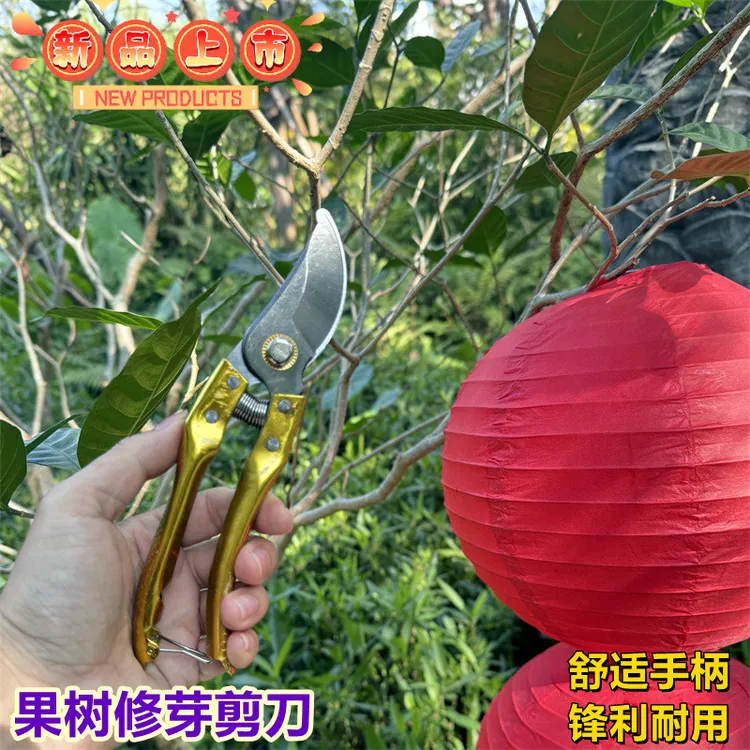园艺修枝剪刀剪枝果树修枝剪刀园艺园林修花枝剪家用强力剪子