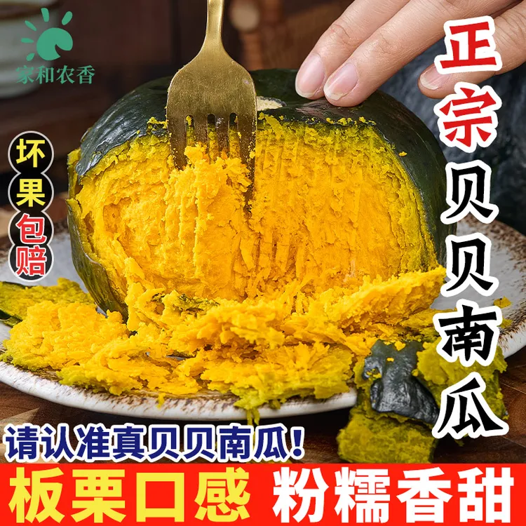 【粉糯香甜】山东农家自种板栗贝贝南瓜只发老瓜沙软可口面