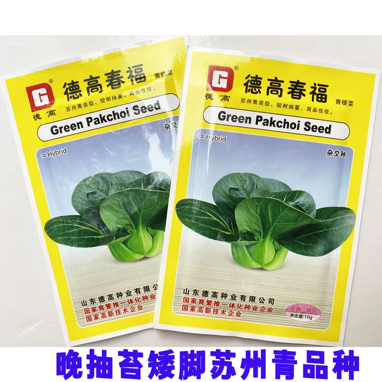 德高春福矮脚苏州青种籽高产耐寒耐抽苔黑亮矮箕趴地黑菜种子