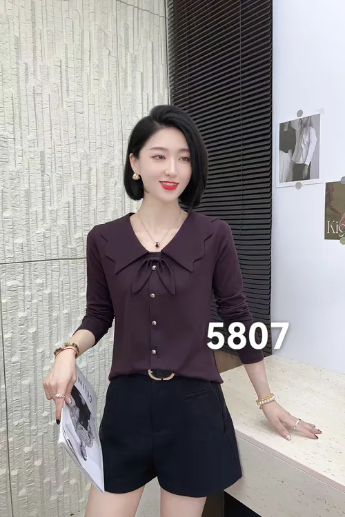 5807秋季新款时尚洋气气质修身网红女神显瘦长袖上衣