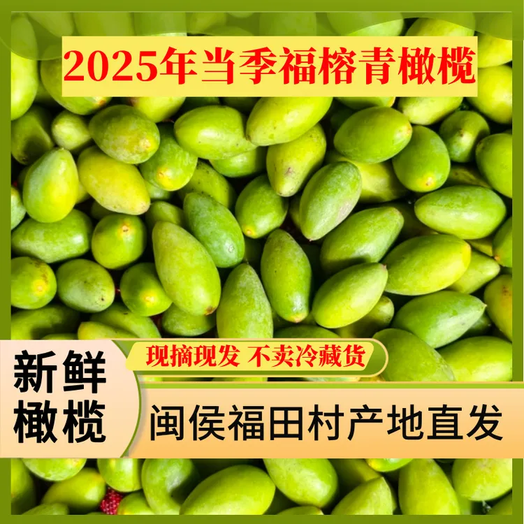 【福田助农】福建水果鲜果新鲜原味青橄榄闽侯2号橄榄生吃煲汤榨汁