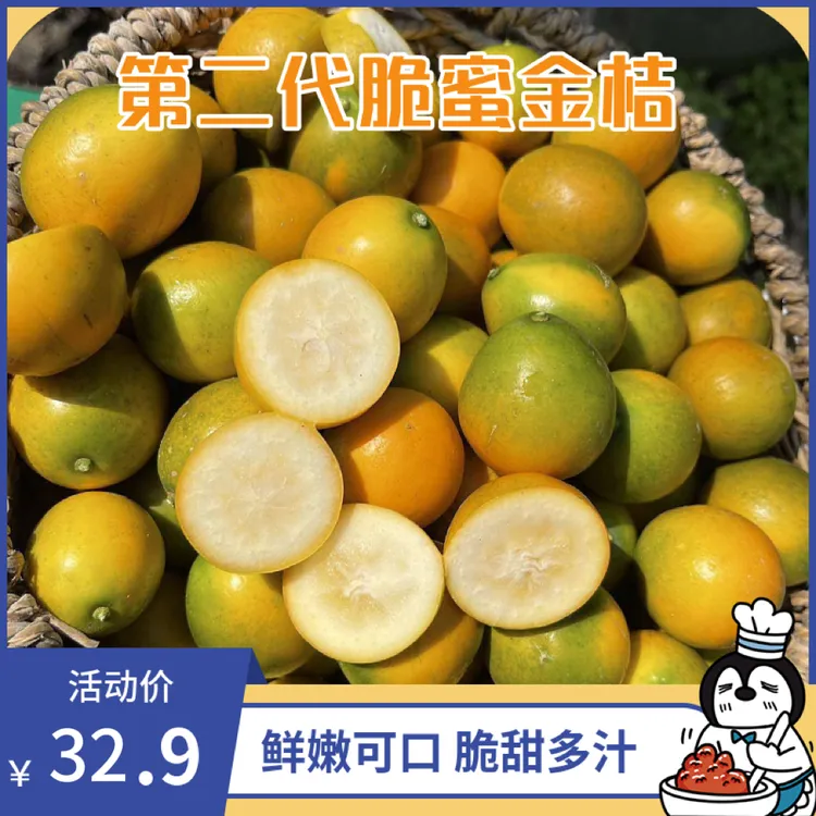 第二代广西脆蜜金桔精品金桔3斤装彩箱泡沫双层包邮