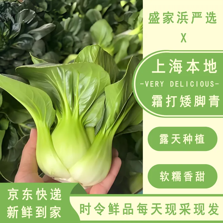 [盛家浜严选]上海本地时令露天霜打矮脚青菜