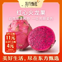 东方甄选自营红心火龙果金都一号新鲜水果当季4.5/5斤装坏果包赔