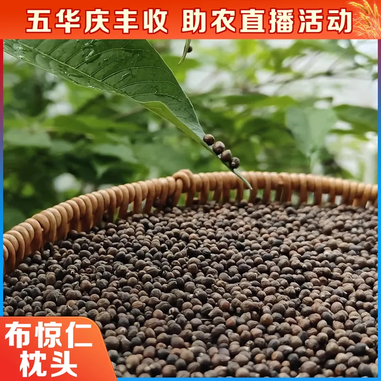 客家布惊仁枕头儿童中老年助眠护颈枕枕芯散装填充物