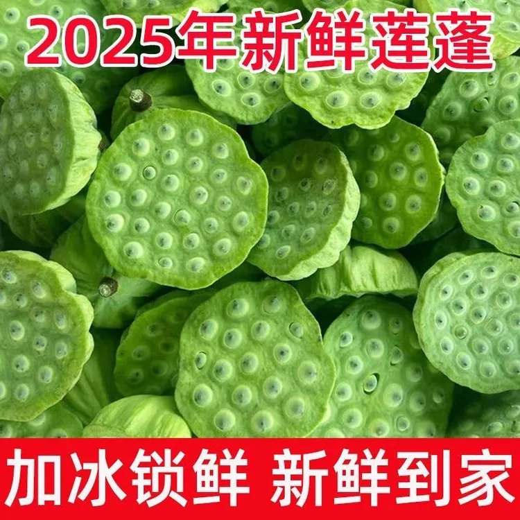 【正宗水果嫩莲蓬】江西新鲜现摘当季应季水果生吃清甜爽口莲子米