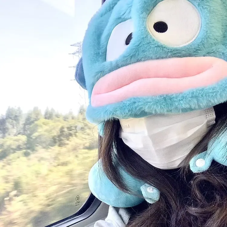 丑鱼毛热玩具颈枕连帽子颈枕办公颈枕u型枕带帽子头套可爱U形颈枕