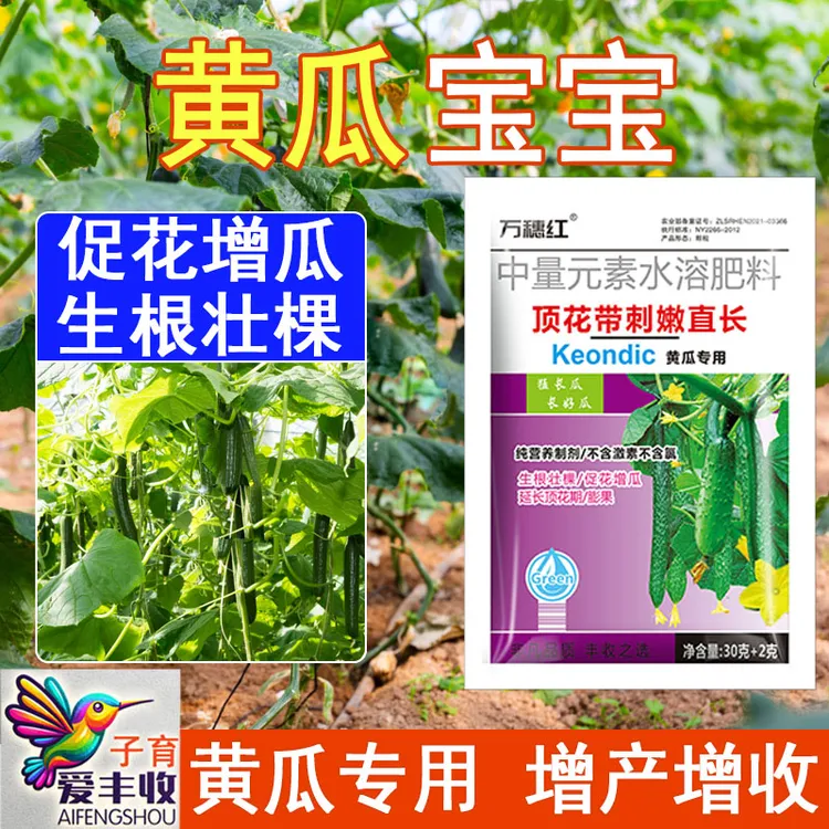 爱丰收【黄瓜宝宝】黄瓜种植嫩拉直拉长补钙镁膨壮黄瓜水溶叶面肥