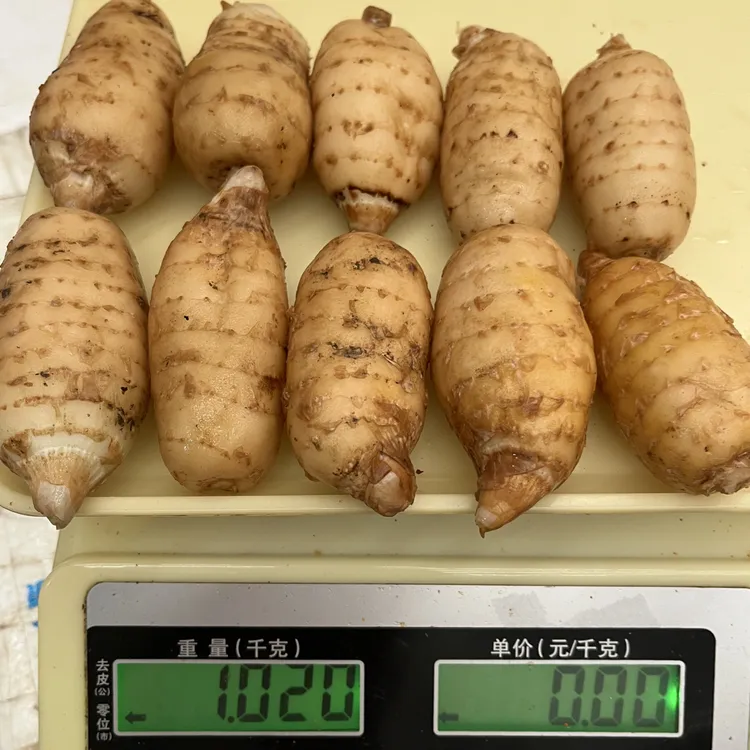 云南小草坝新鲜天麻小果福利果3斤起邮