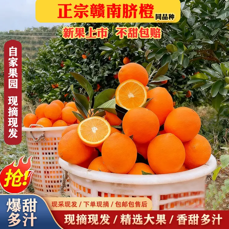 赣南新鲜脐橙同款品种正宗当季橙子甜橙整箱现摘应季批发水果薄皮