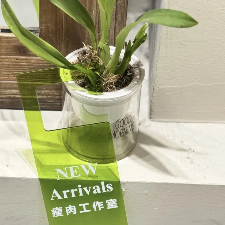 史多利儿童纯棉T恤6号链接