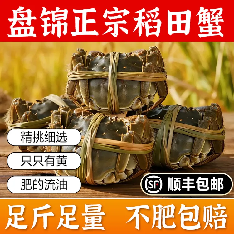 【活蟹】盘锦稻田蟹 每只0.9-1.2两母蟹 净重2斤 顺丰鲜活发货