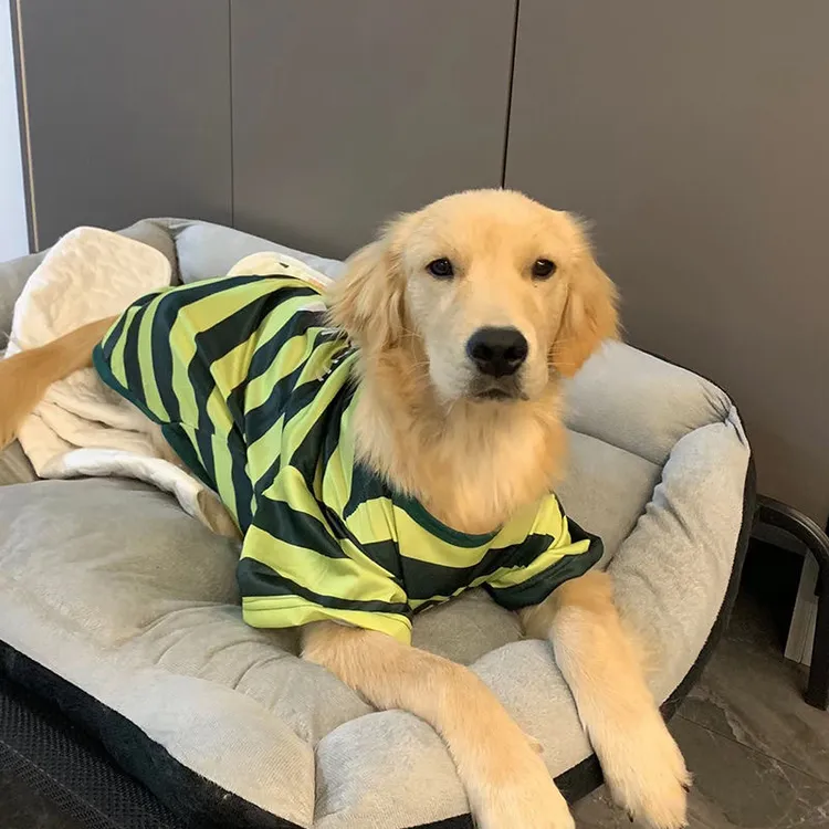 狗狗衣服 大型犬春夏薄款条纹衣服拉布拉多金毛网红潮牌狗狗衣服
