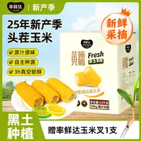 率鲜达【25年新玉米】非转基因黄糯玉米段东北黑土地玉米真空锁鲜