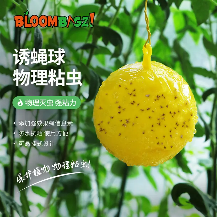 诱蝇球粘虫球瓜果实蝇诱粘剂防虫诱粘球粘蝇球柑橘实蝇果蝇诱捕器