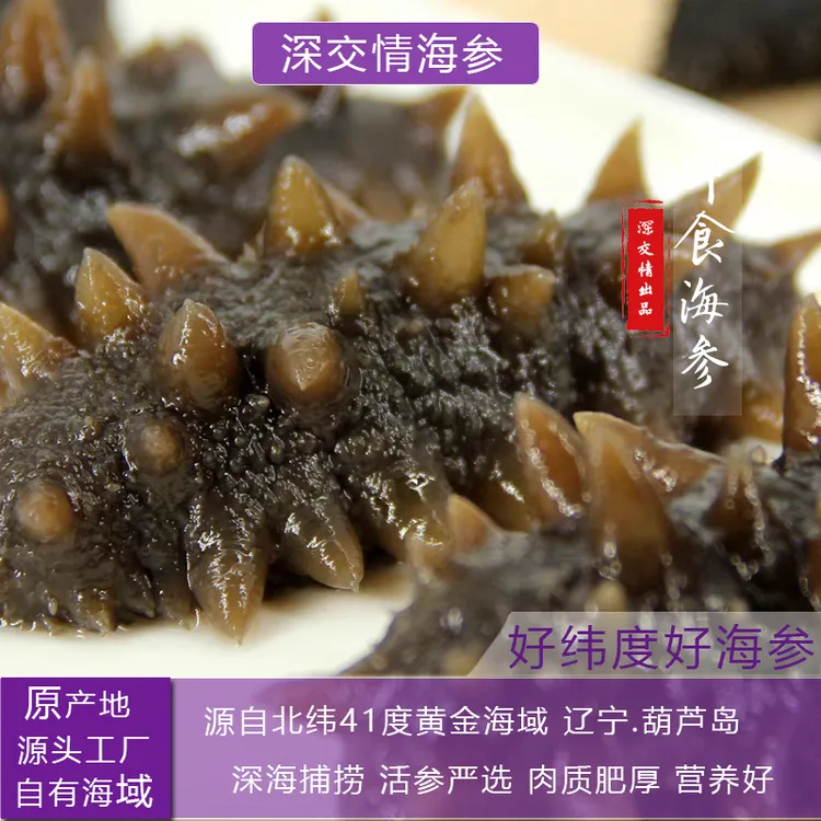 【买20根送10根到手30根】深交情辽刺参（单根5-8cm)