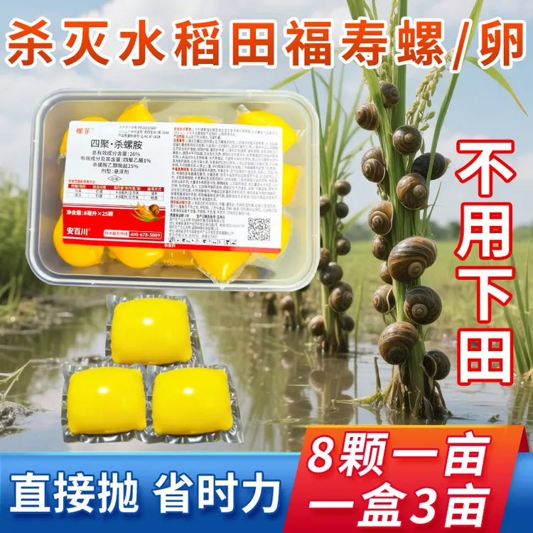 福寿螺杀螺剂蜗牛鼻涕虫四聚乙醛秧田水稻田螺丝池塘浅滩杀螺剂药