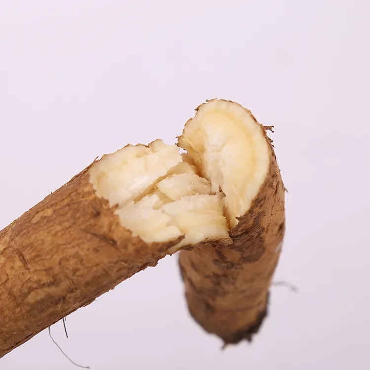 源自牛蒡之乡现挖新鲜牛蒡到手5斤