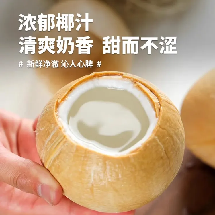 【稀缺特大果】泰国进口丹嫩沙多椰皇/椰子/椰青6/10颗装 顺丰新鲜