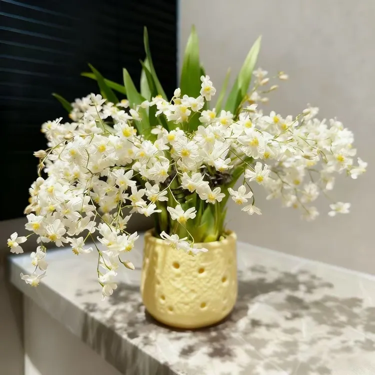 米白色梦香兰盆栽浓香花卉多年生室内阳台易养护绿植盆栽