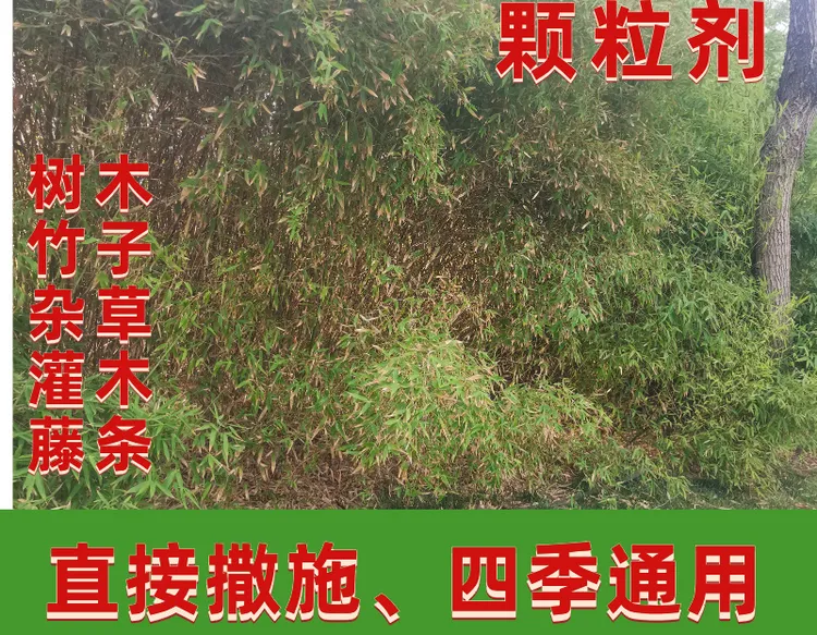 新袋装新配方厂家速溶颗粒肥撒撒即可树草肥四季通用