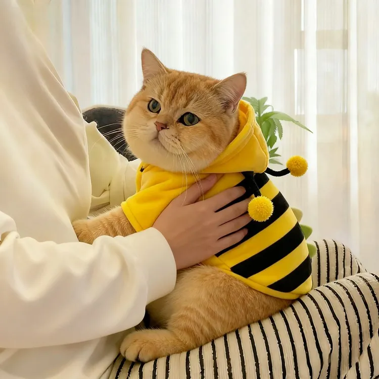 猫咪衣服春秋款薄绒搞笑小蜜蜂装金渐层英短德文猫保暖服饰狗狗衣